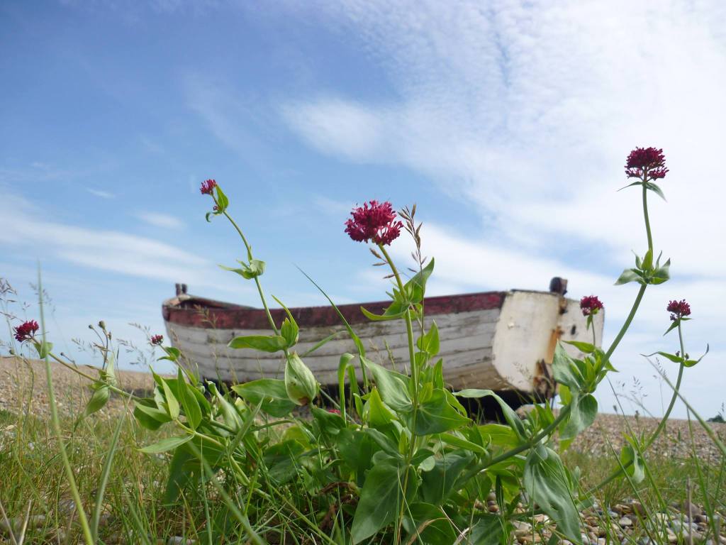 A white painted wooden boat on a shingle beach.