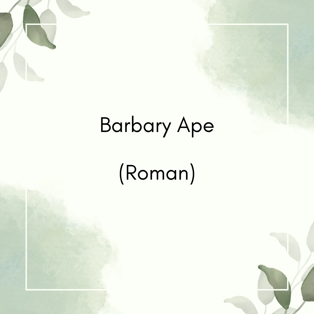 Barbary Ape (Roman)