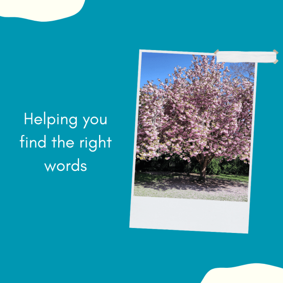 Photo shows a large tree with pink blossom. Wording reads helping you find the right words.