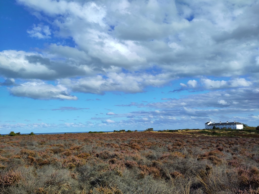 Late heather, a sliver of sea, white coastguard cottages, all under a blue sky.