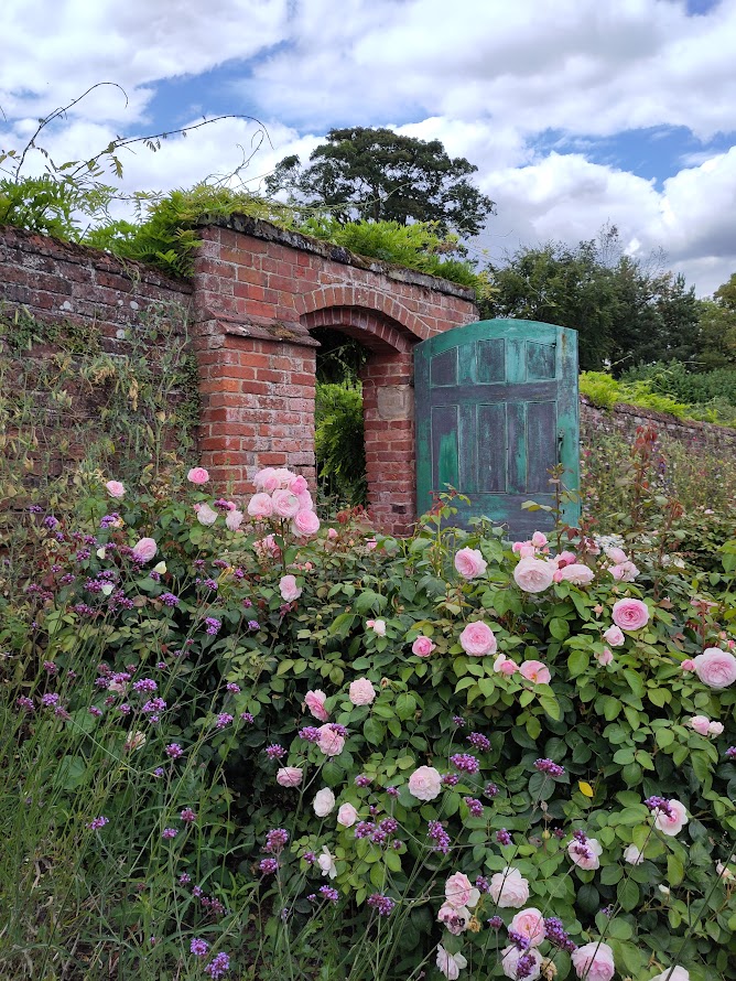 Pink roses flank a red brick archway into a walled garden. The wooden door is a flaking green colour. White butterflies are sitting on some purple verbena in the foreground.