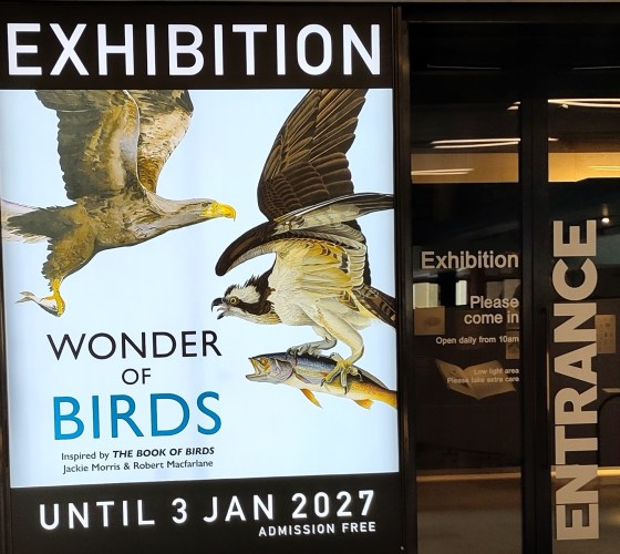Entrance to Wonder of Birds exhibition.