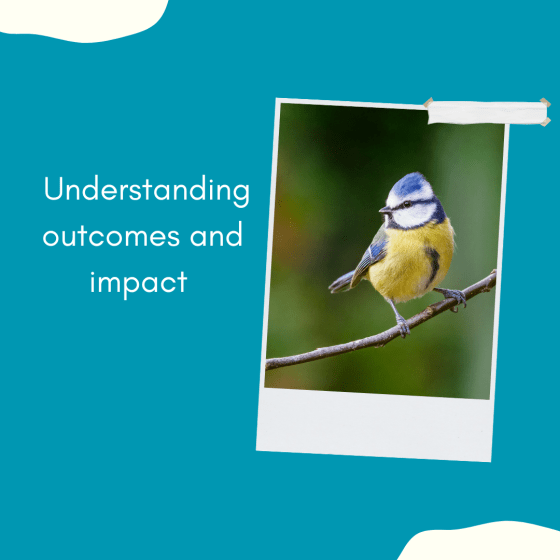 Graphic with a photo of a blue tit on a branch. Wording reads understanding outcomes and impact.