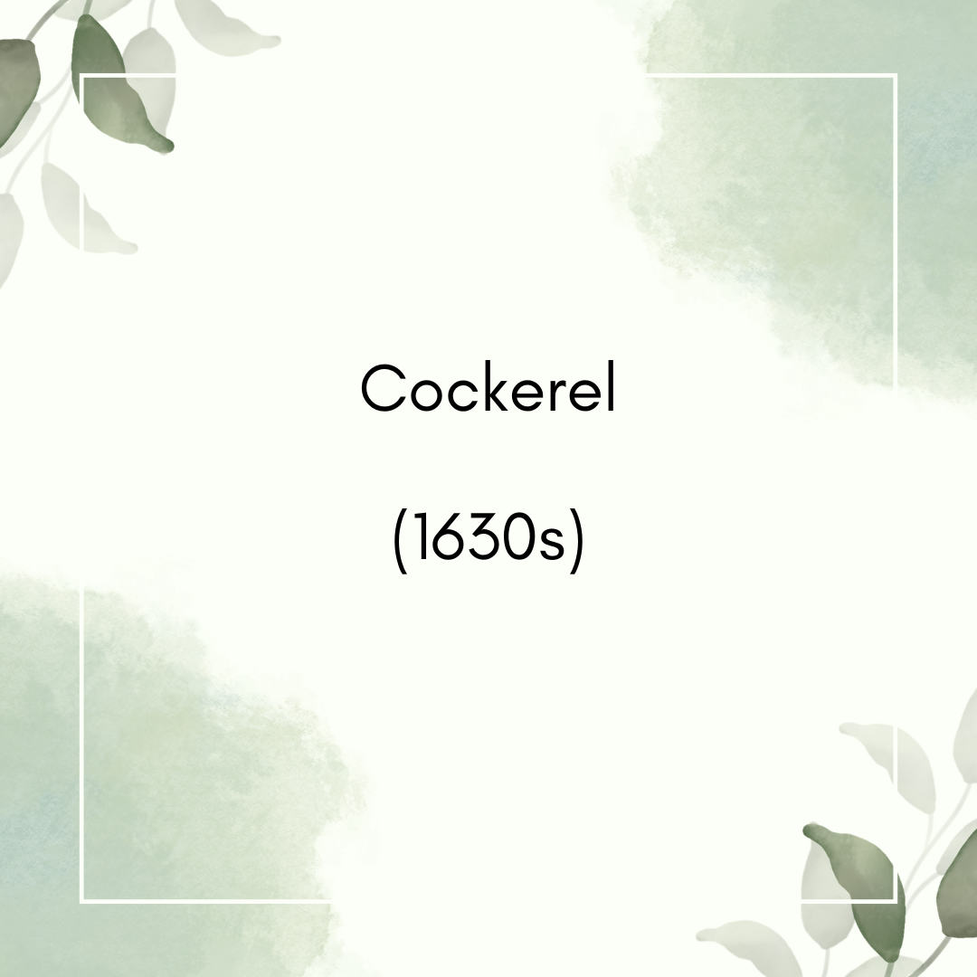 Cockerel (1630s)