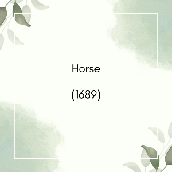 Horse (1689)