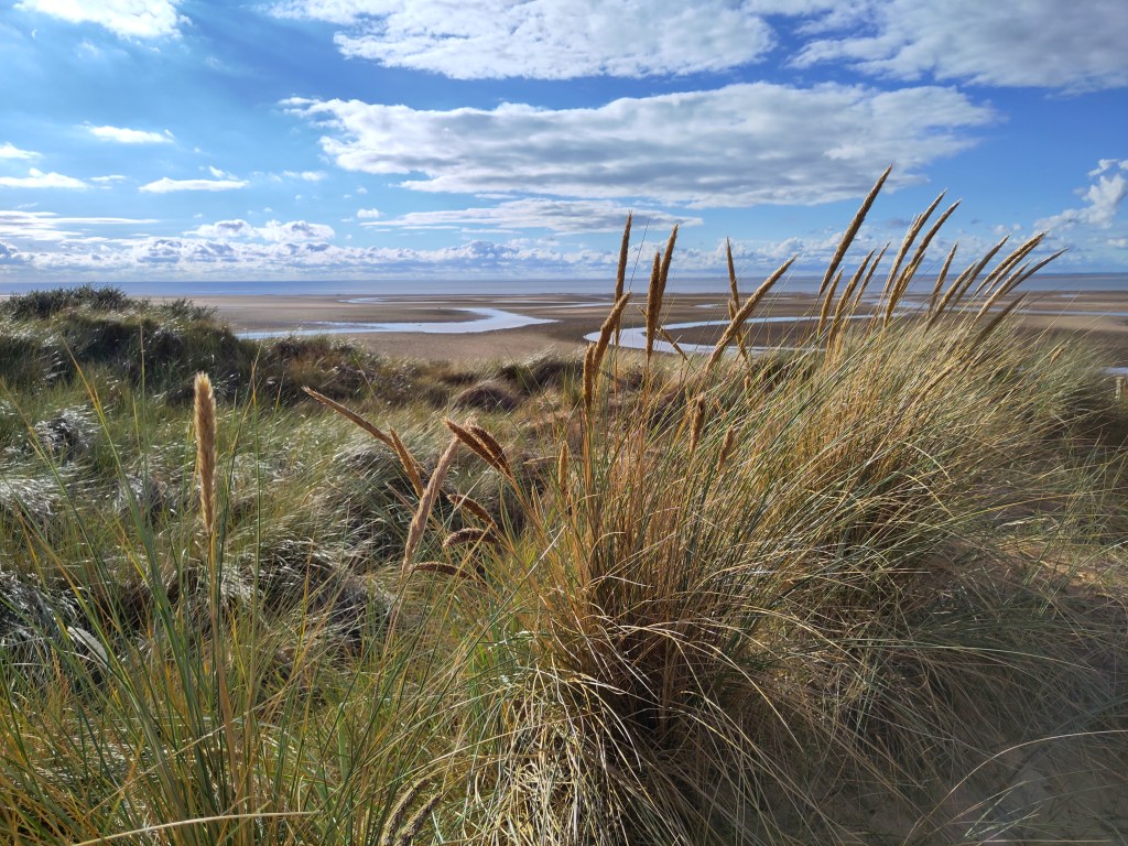 View from sand dunes towards beach and sea.