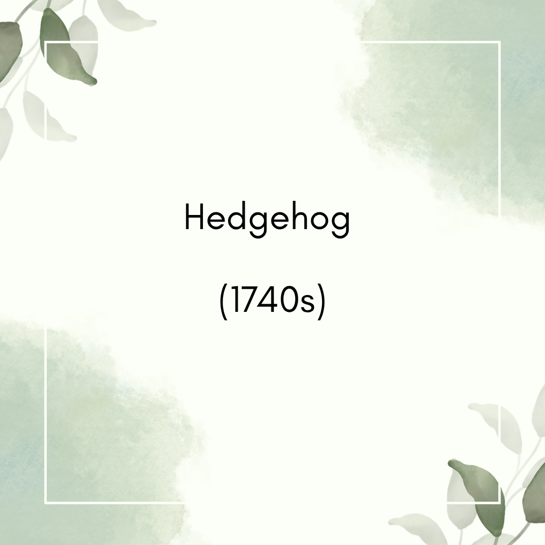 Hedgehog (1740s)
