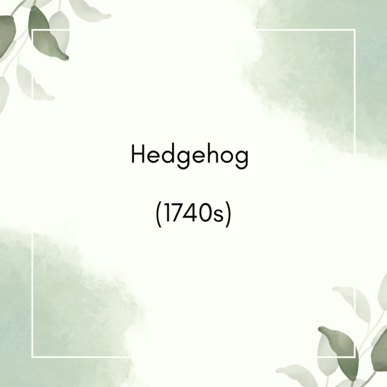 Hedgehog (1740s)